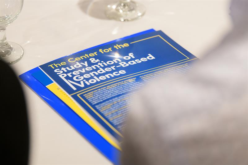 A brochure on a table reads "The Center for the Study and Prevention of Gender-Based Violence."